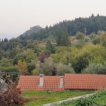 Luxury House In The Hills ξενώνας Σπάρτη Εξωτερικό φωτογραφία